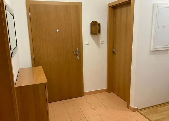 Apartman Na Vyhlidce * Κάρλοβι Βάρι