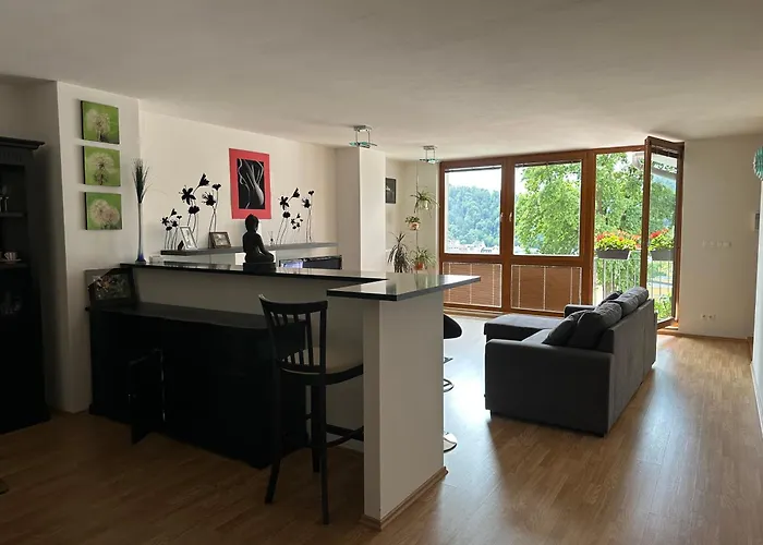 Apartment Apartman Na Vyhlidce Karlsbad